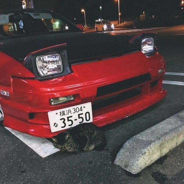 Trackhead JDM street scene with red drift car and cat resting under the front bumper at night